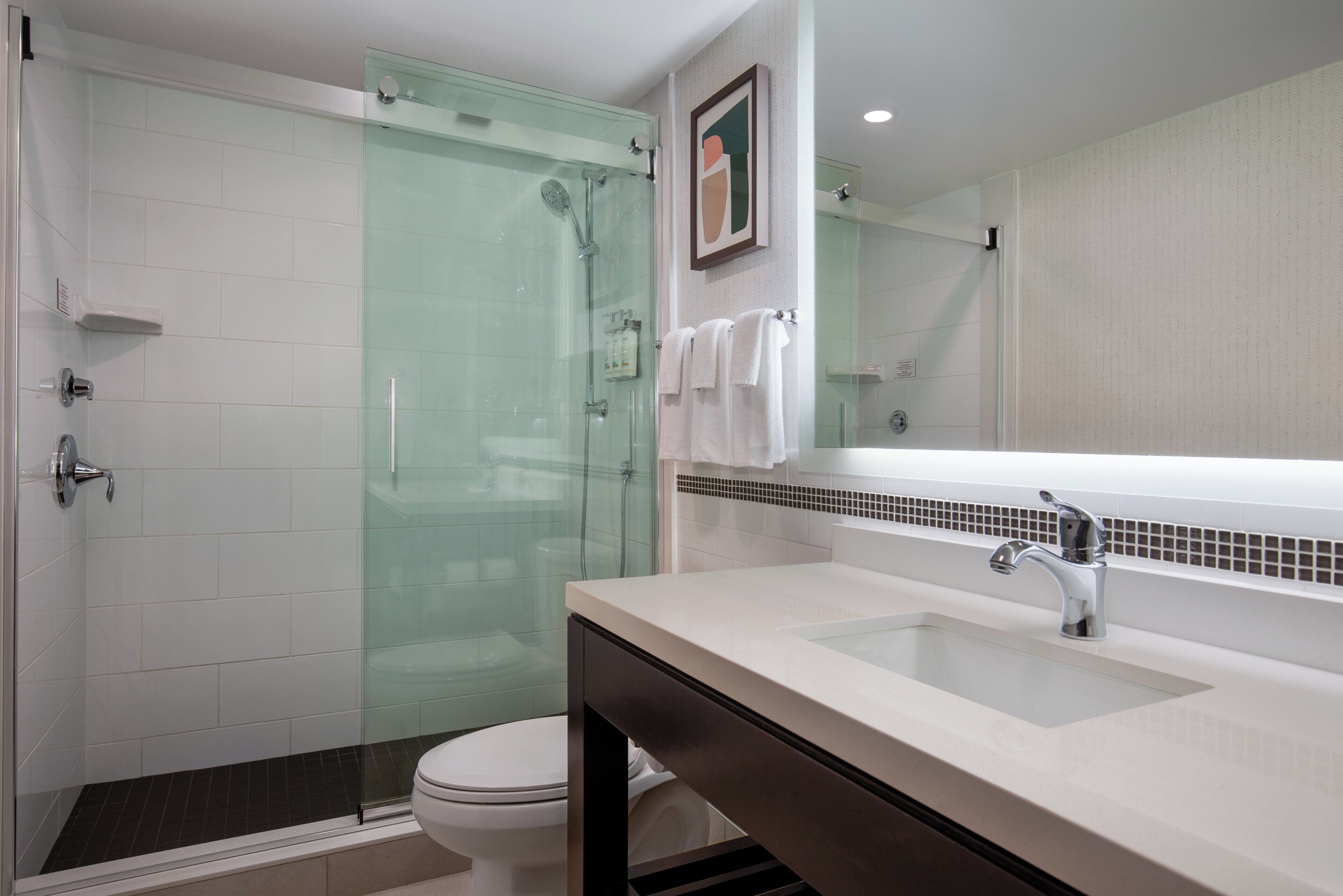 A modern bathroom with a glass-enclosed shower, a white toilet, and a vanity with a mirror.