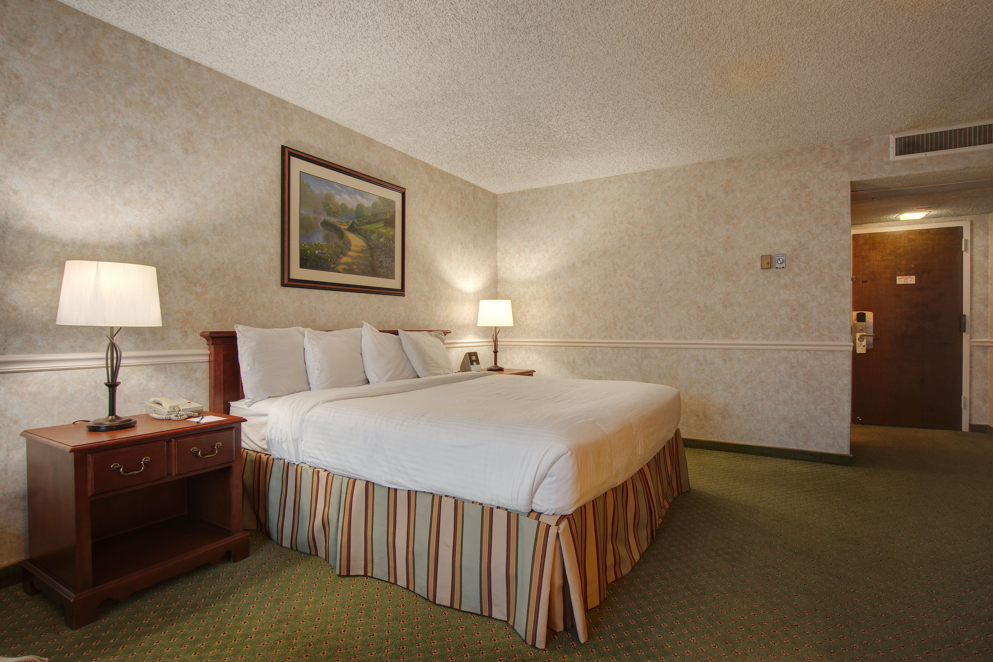 A hotel room with a large bed, two bedside tables with lamps, a framed picture on the wall, and a carpeted floor.