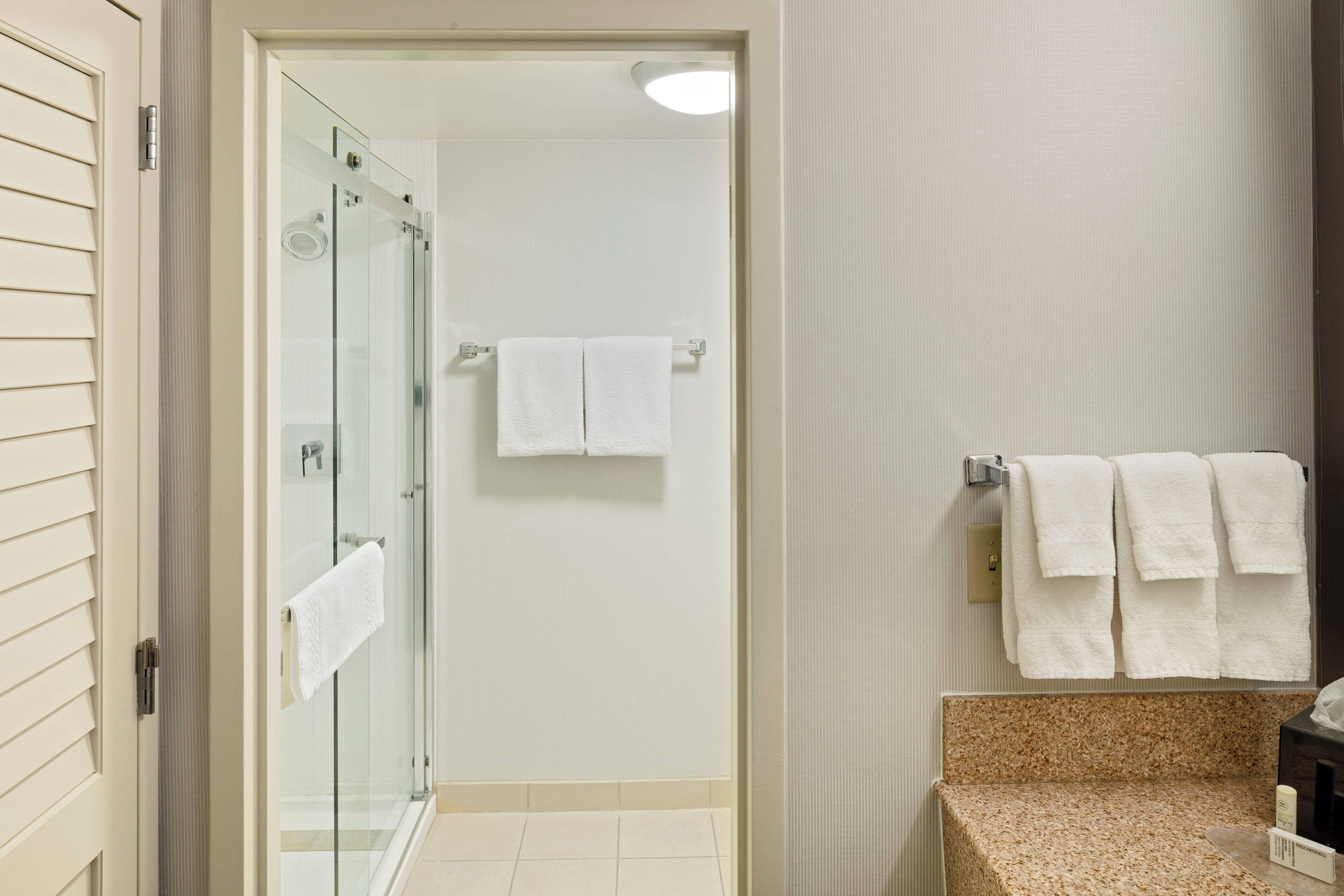 hydromassage showerhead, eco-friendly toiletries, hair dryer, towels