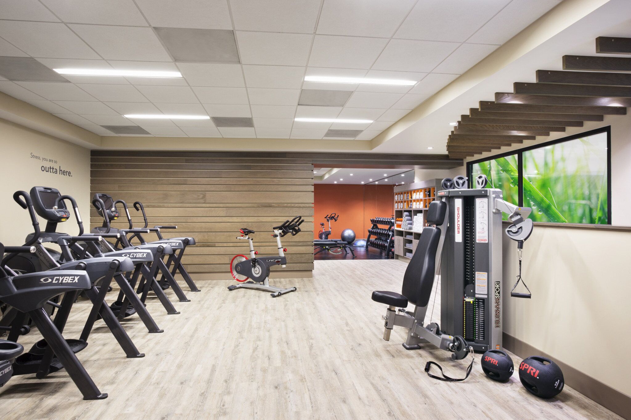 A gym with treadmills, stationary bikes, and weightlifting equipment.