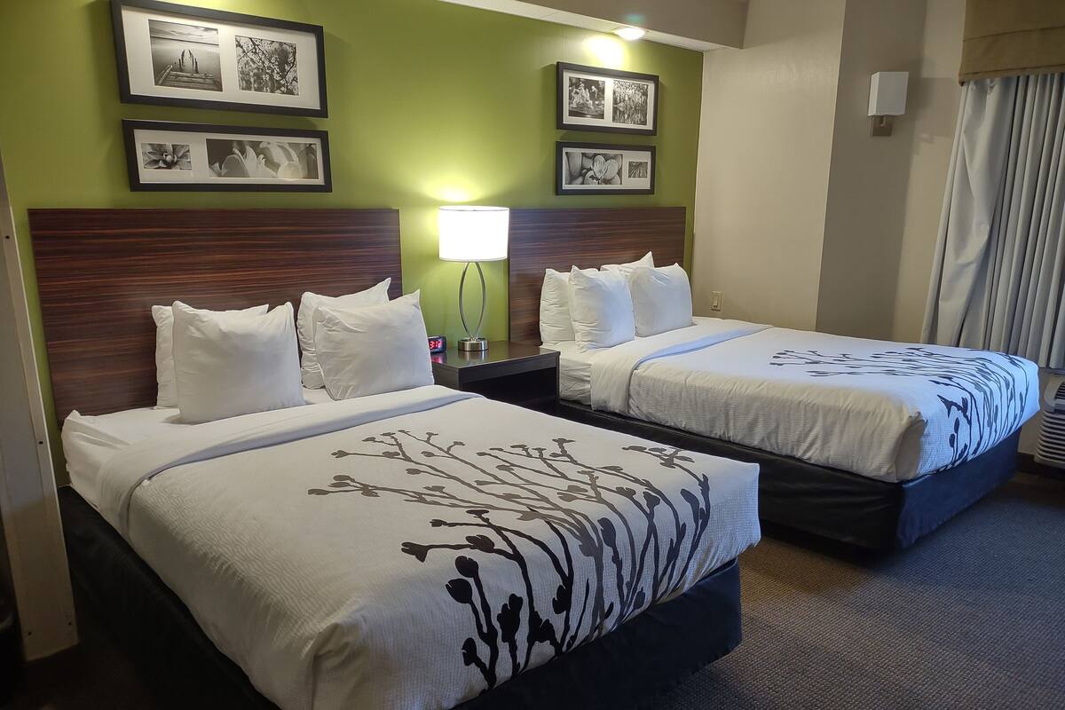 Habitación de hotel con dos camas, una mesita de noche, una lámpara y cuadros en la pared.