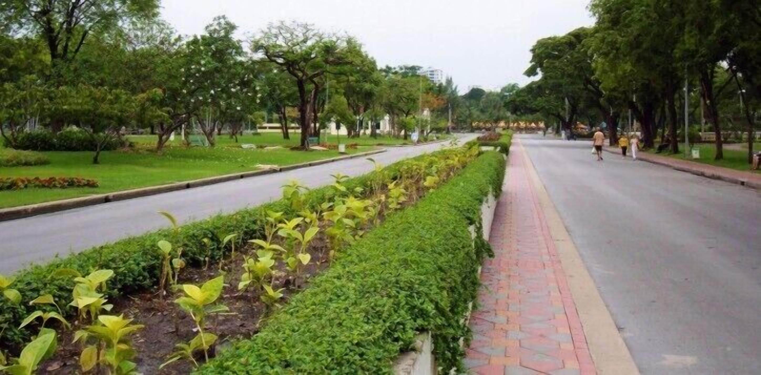 A tree-lined street with a sidewalk and a road.