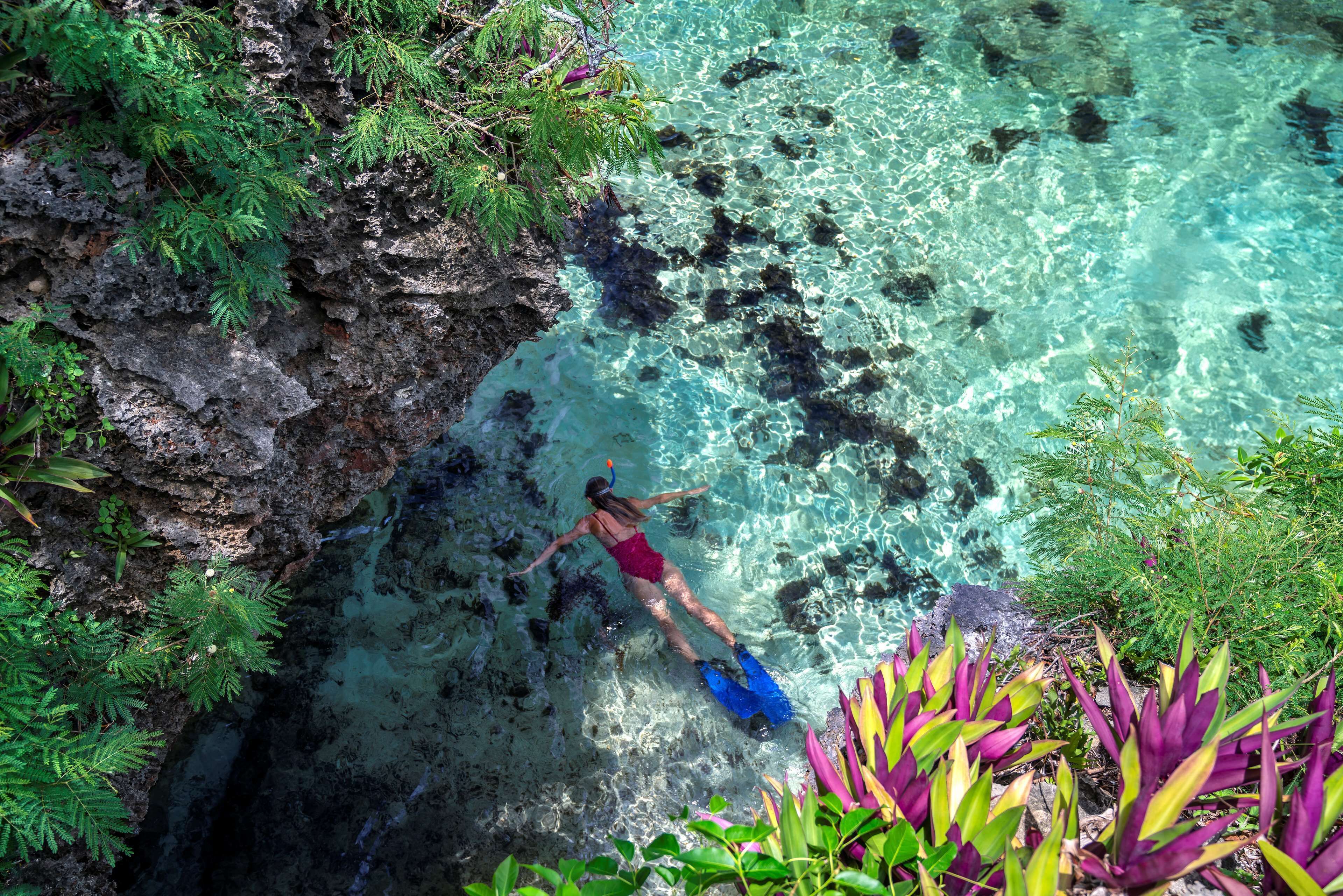 Una persona haciendo snorkel en aguas cristalinas con terreno rocoso y abundante vegetación.
