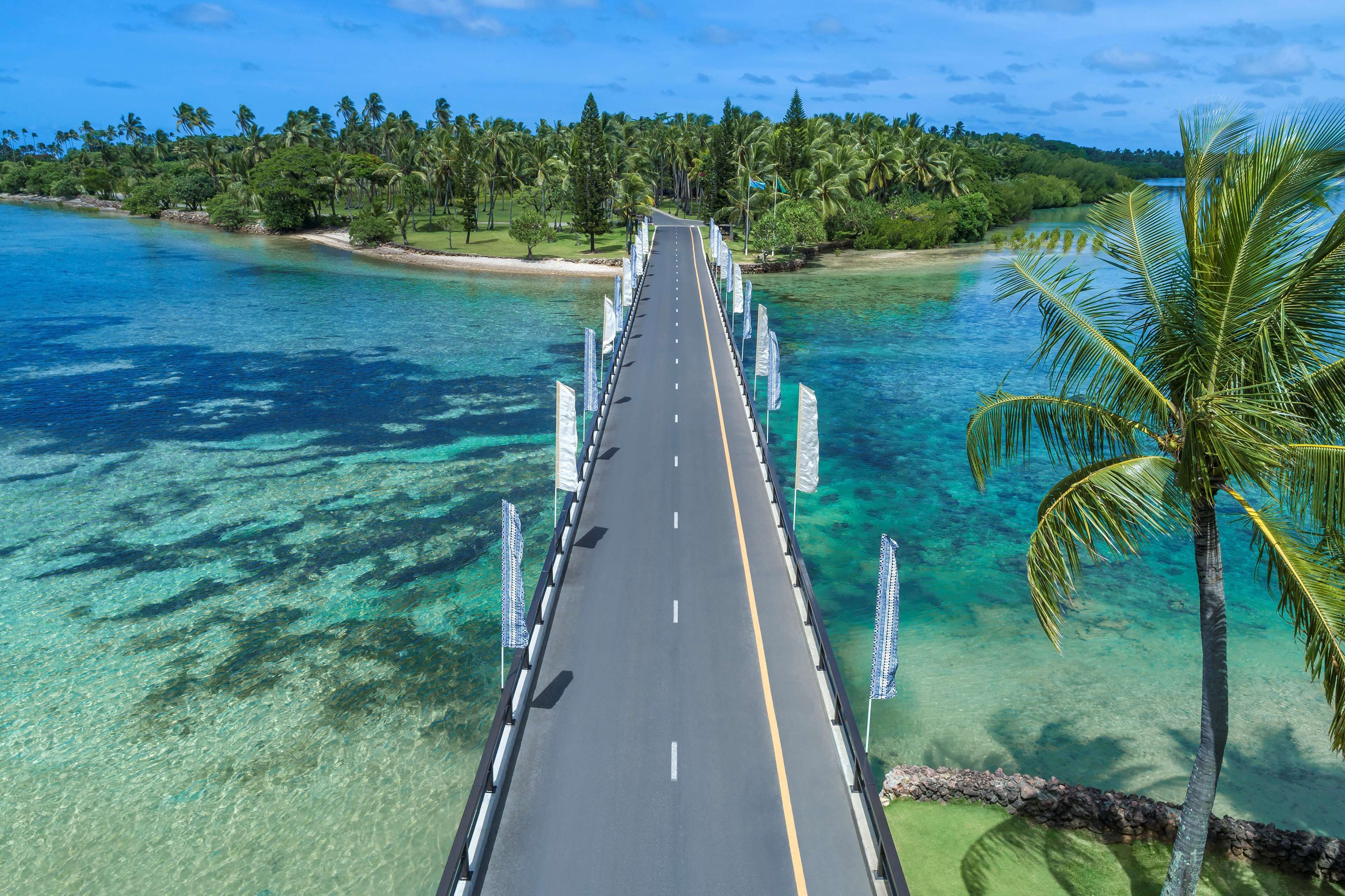 Un puente que conduce a una playa con agua turquesa cristalina y palmeras.
