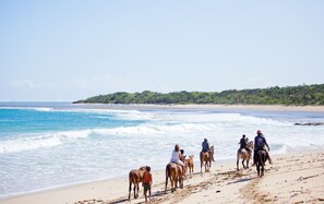 Private beach, white sand, free beach cabanas, sun-loungers