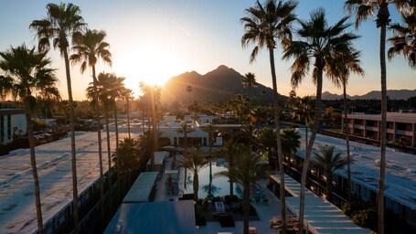Hotel Adeline, Scottsdale, a Tribute Portfolio Hotel - Image 3