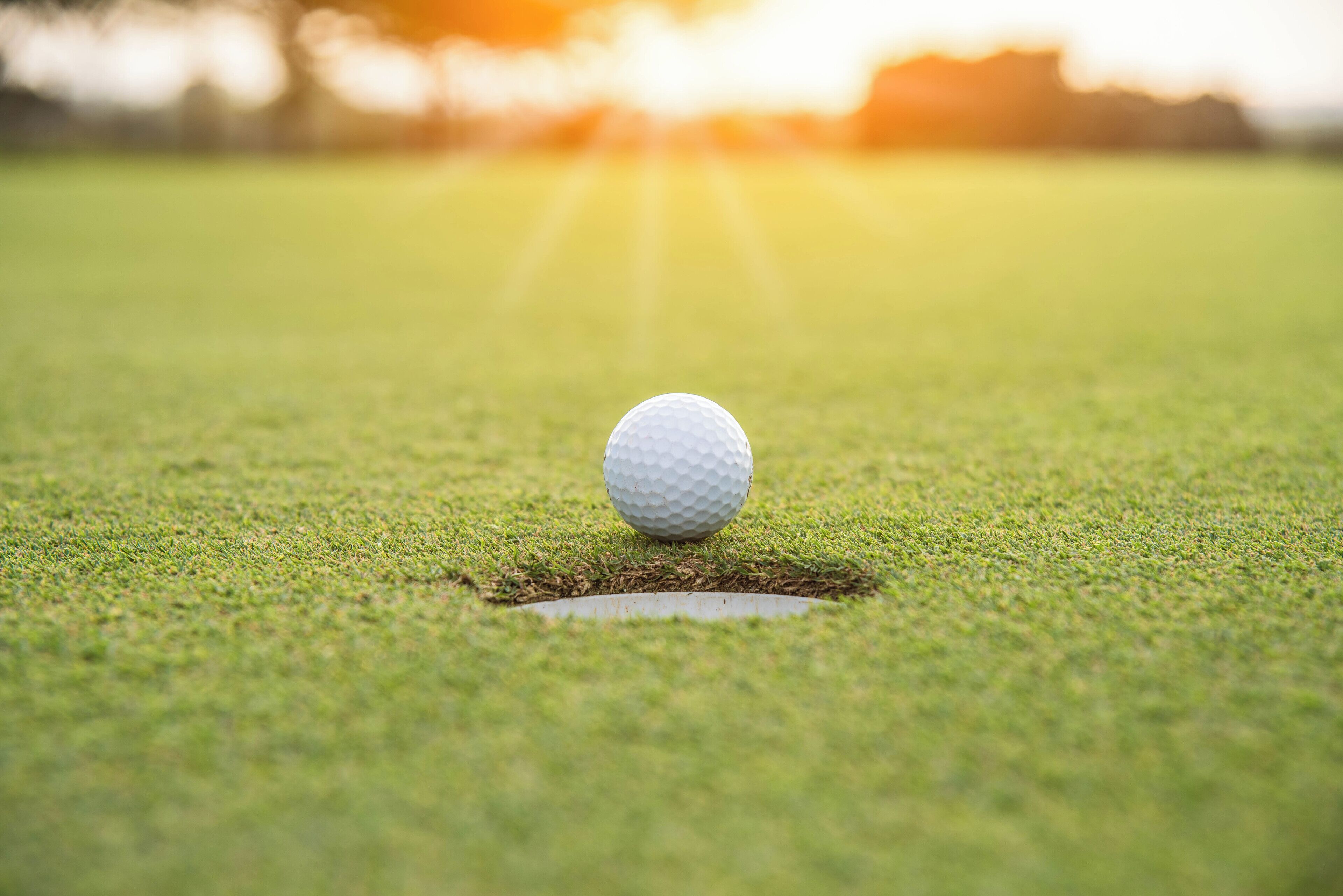 A golf ball on a green with a hole, suggesting a golf course setting.