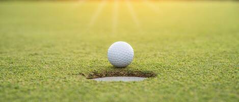 A golf ball on a green with a hole, suggesting a golf course setting.