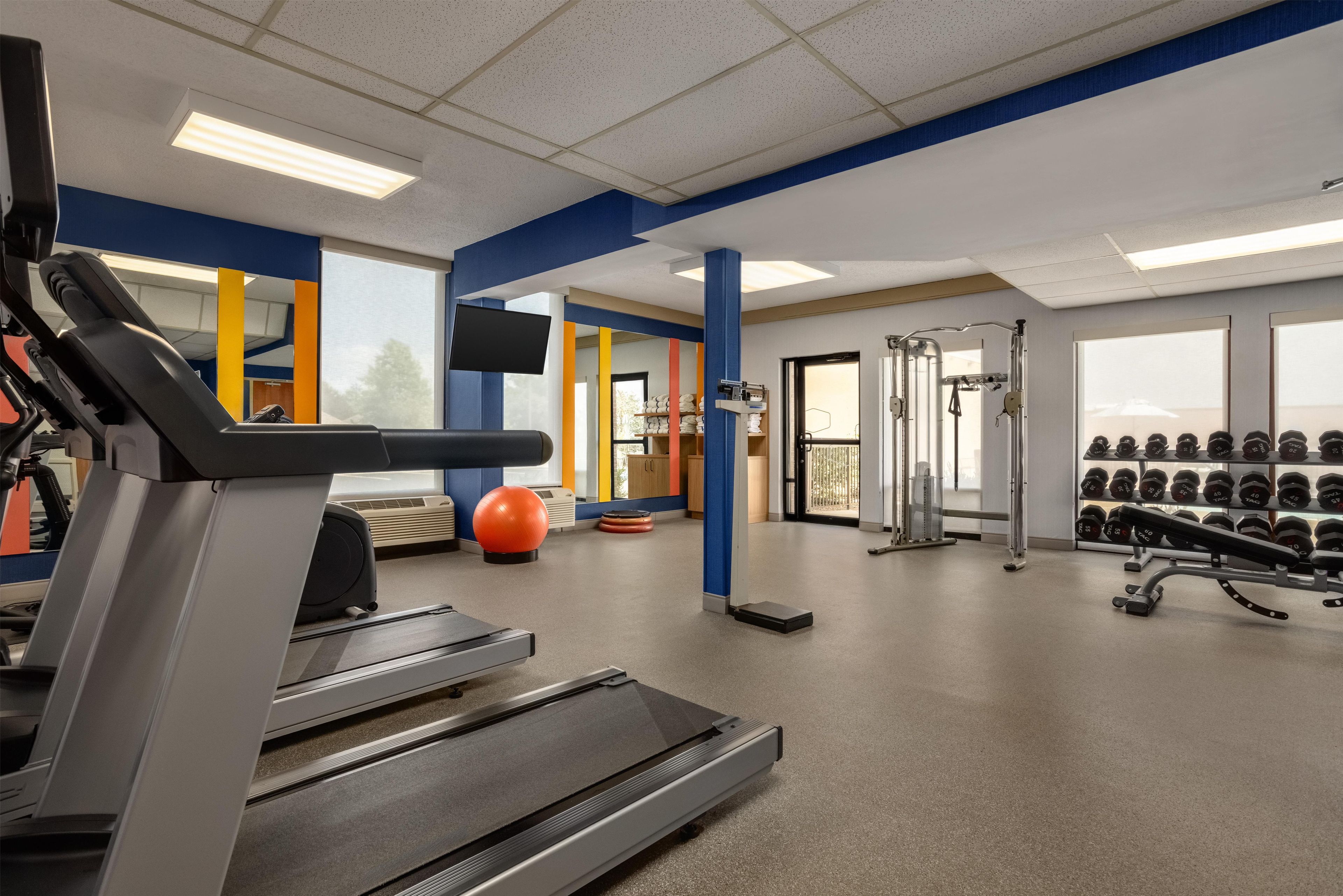 Une salle de sport équipée de tapis de course, de poids et de ballons d’exercice.