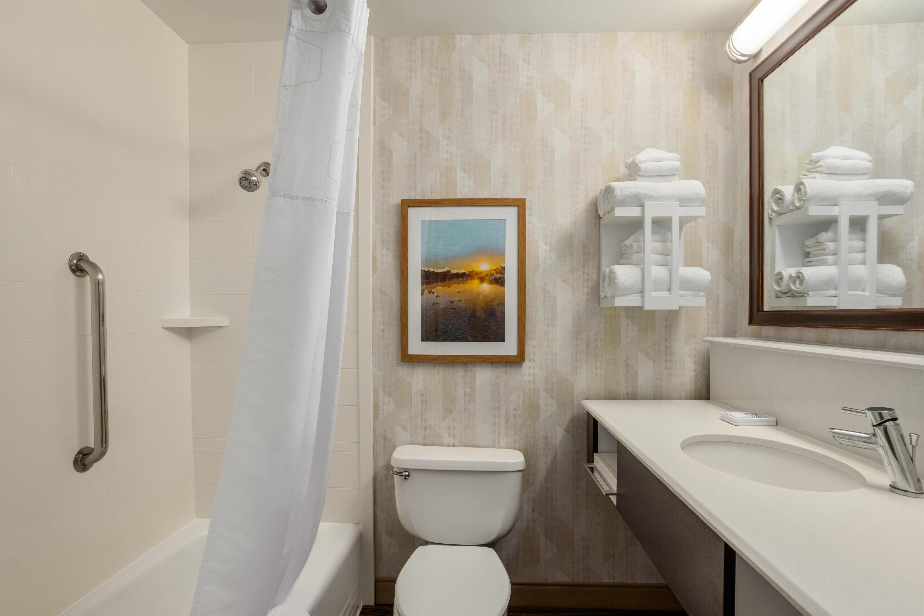 Un baño con ducha, inodoro, lavamanos, toallero y un cuadro en la pared.
