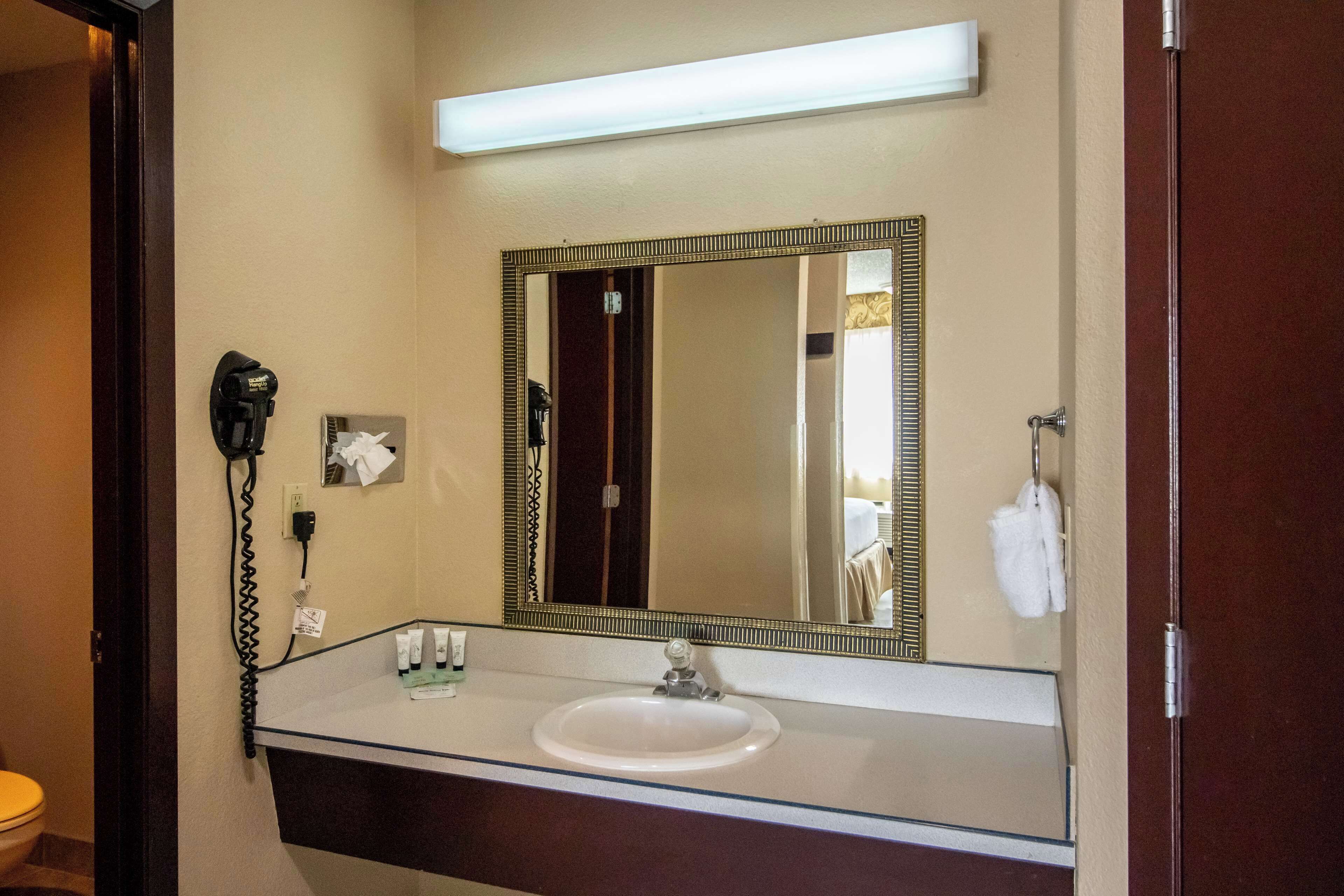 A bathroom with a white sink, a large mirror, and a hairdryer on the wall.