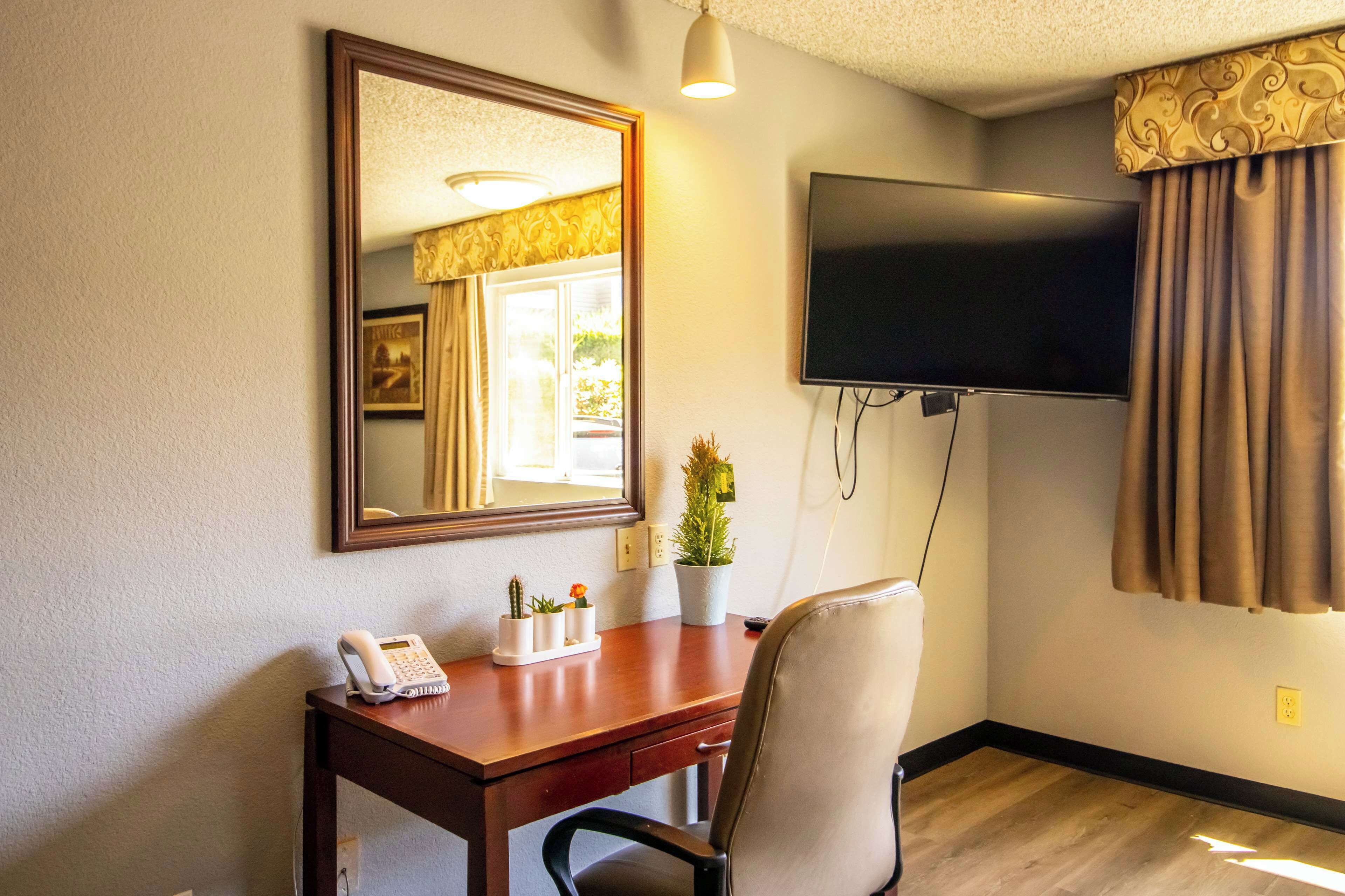 A hotel room with a wooden desk, a telephone, a potted plant, a television mounted on the wall, and a window with curtains.