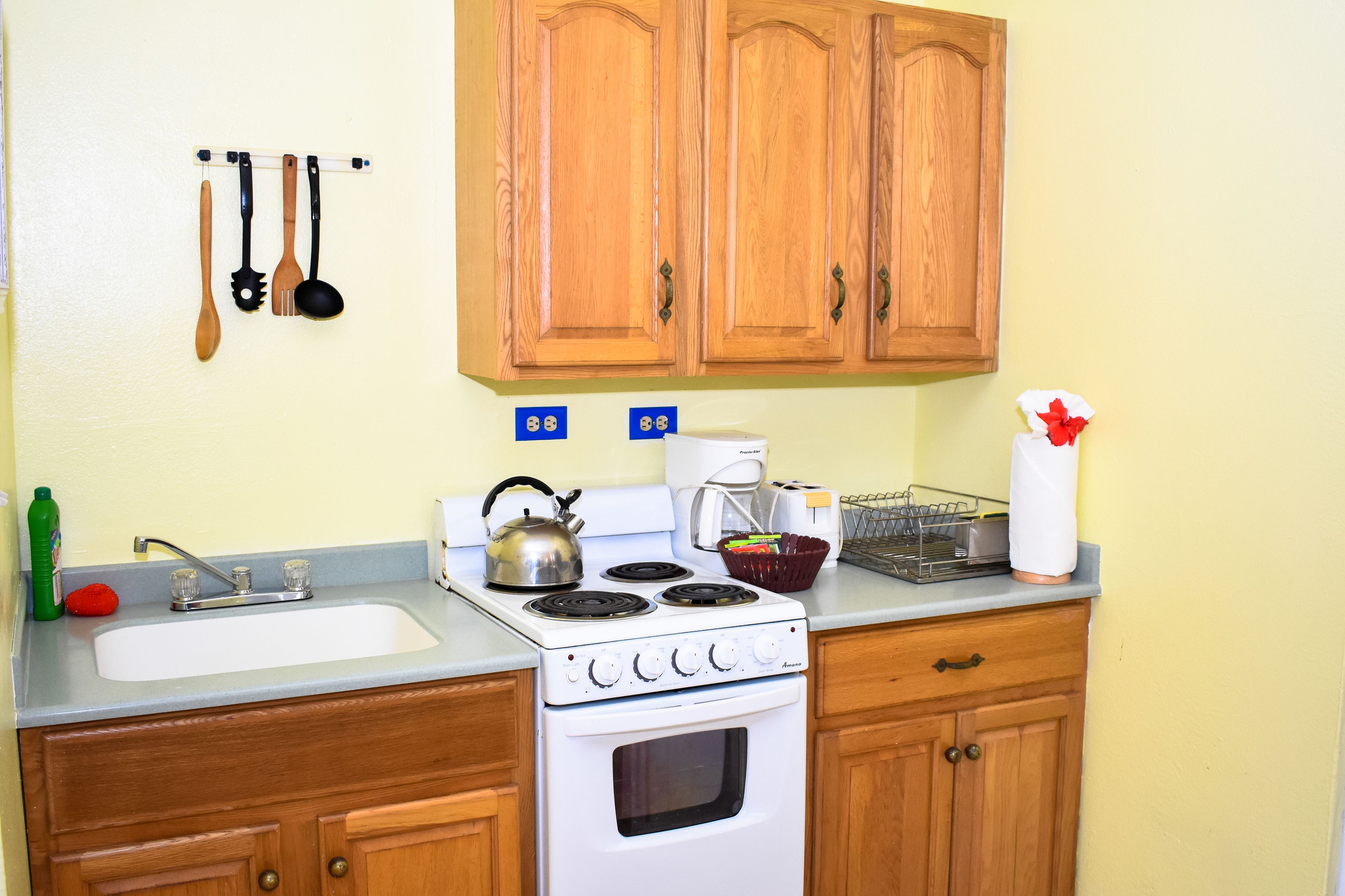 standard room, 2 double beds, beachside | private kitchenette | fridge, coffee/tea maker