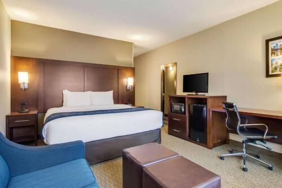 A hotel room with a bed, a desk, a chair, a television, and a sofa.