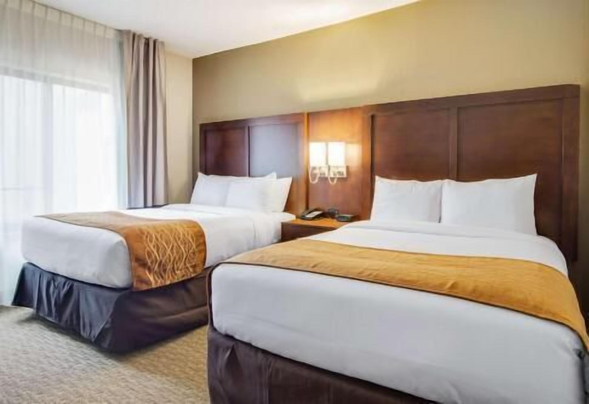 Premium bedding, pillow-top beds, desk, laptop workspace