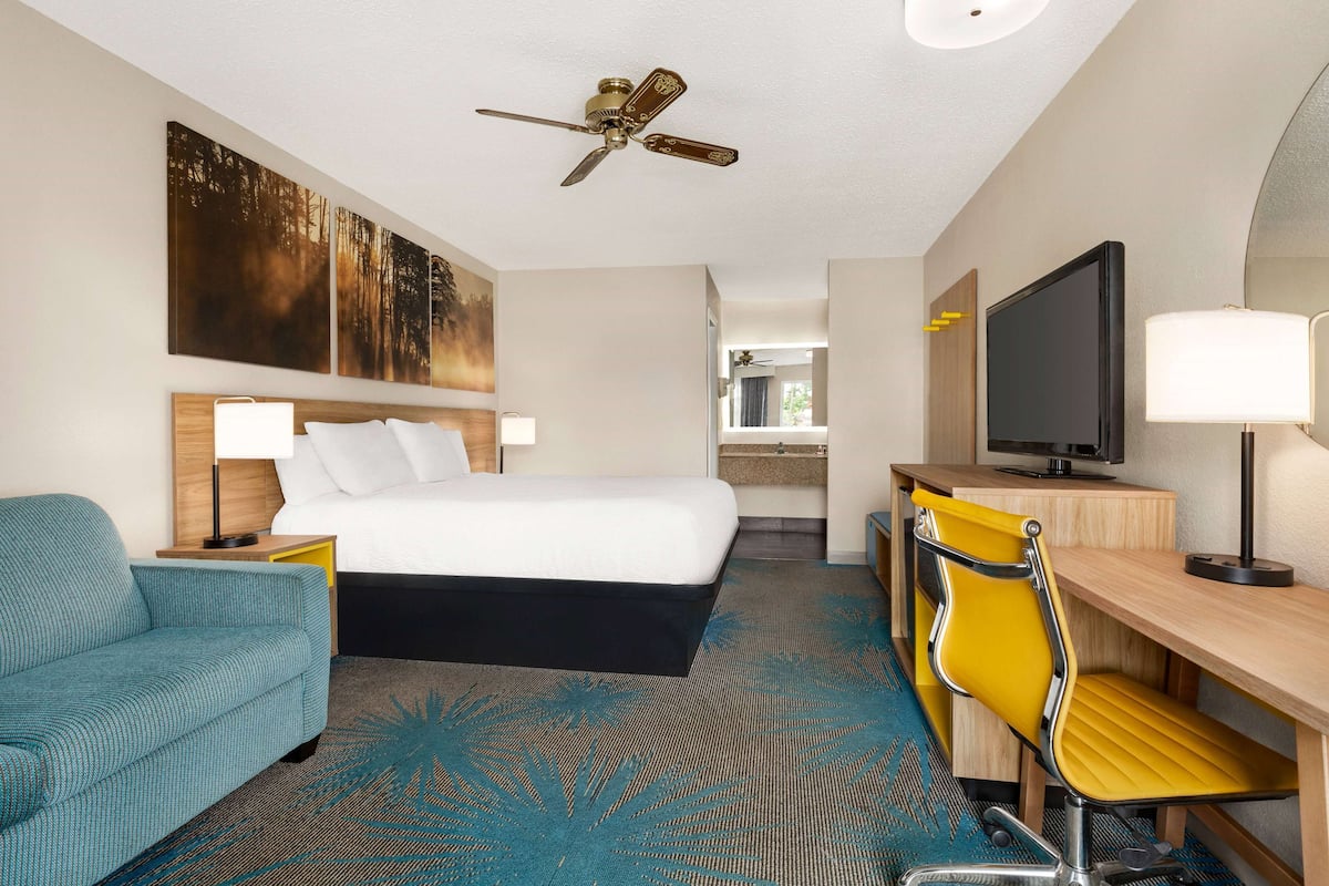 A hotel room with a bed, a desk, a TV, a chair, and a ceiling fan.