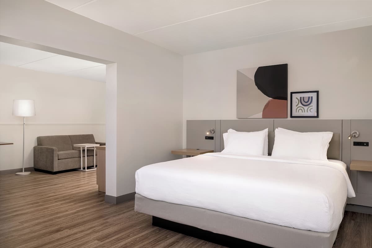 Suite, 1 letto king | Una scrivania, postazione laptop, insonorizzazione, ferro/asse da stiro