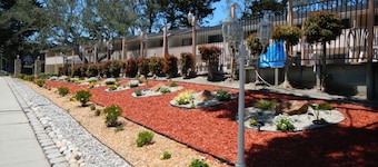 Americas Best Value Presidents Inn on Munras