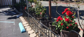 Americas Best Value Presidents Inn on Munras