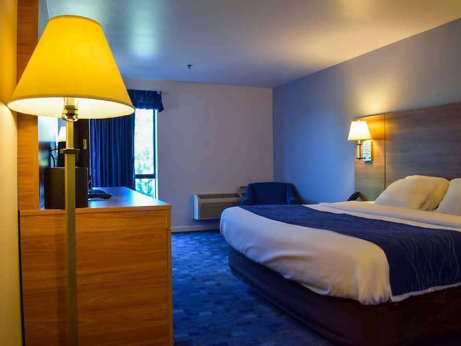 Biancheria in cotone egiziano, biancheria da letto di alta qualità