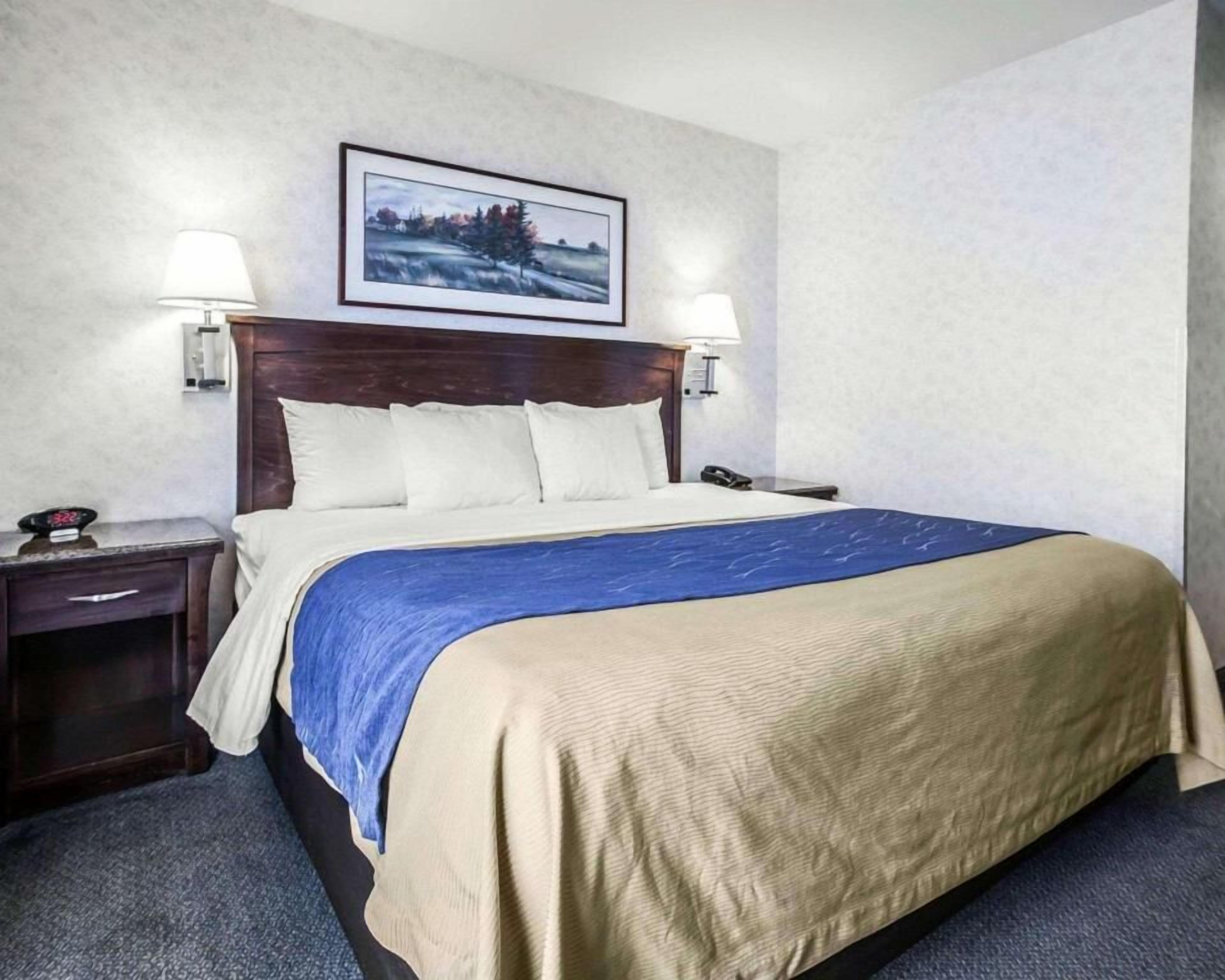 Egyptian cotton sheets, premium bedding, pillow-top beds, desk