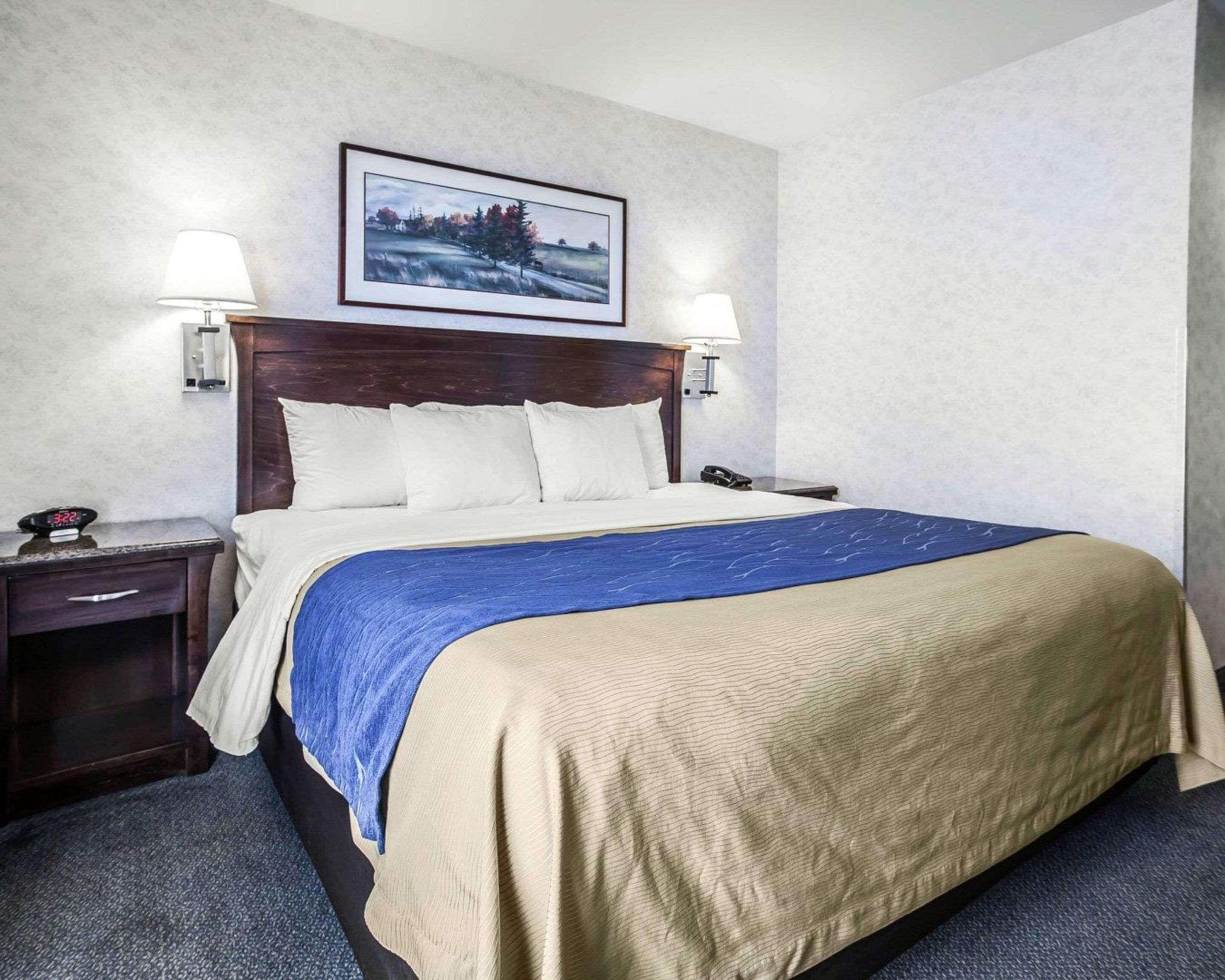 A hotel room with a bed, two bedside lamps, a nightstand, a clock, and a framed picture on the wall.