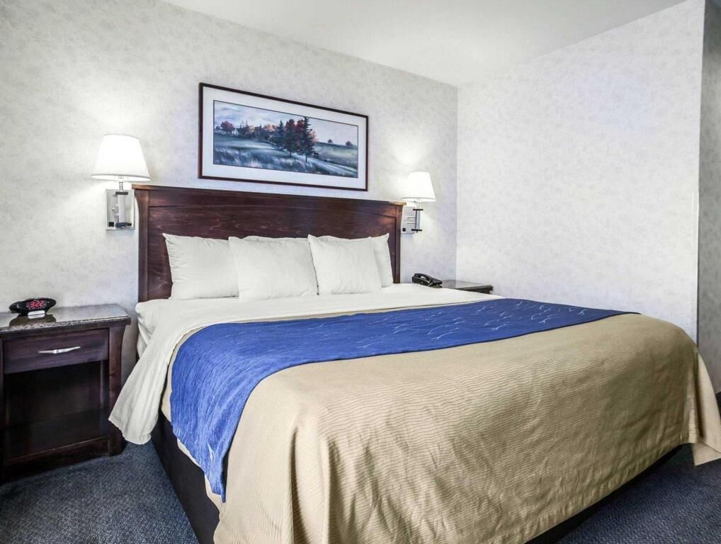 Egyptian cotton sheets, premium bedding, pillow-top beds, desk