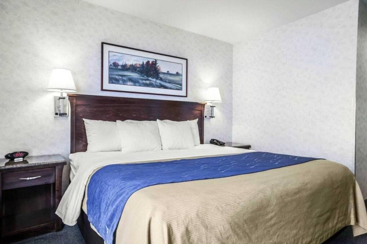 A hotel room with a bed, two bedside tables, a nightstand, a framed picture on the wall, and two wall-mounted lamps.