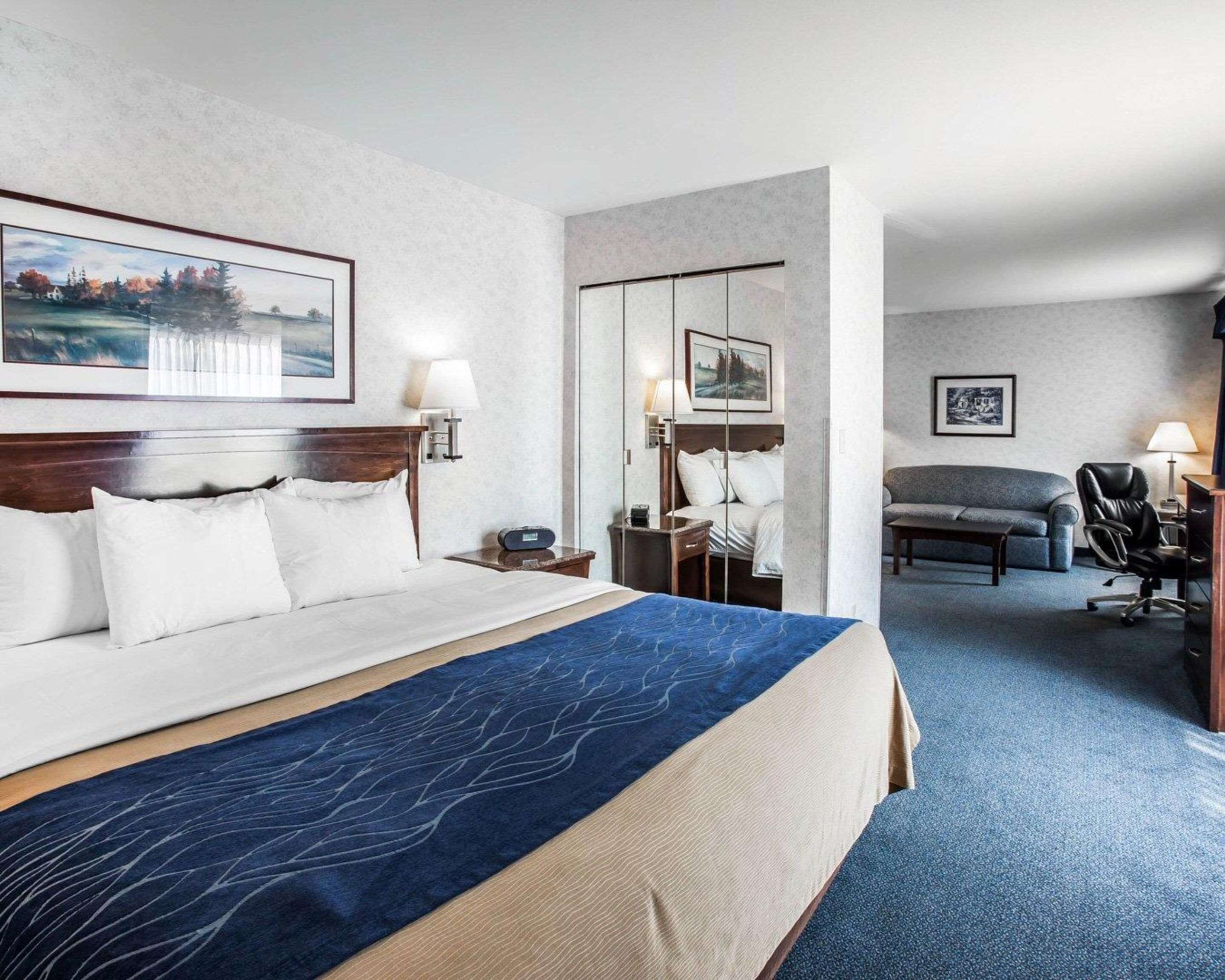 A hotel room with a large bed, a desk, a chair, and a sofa.