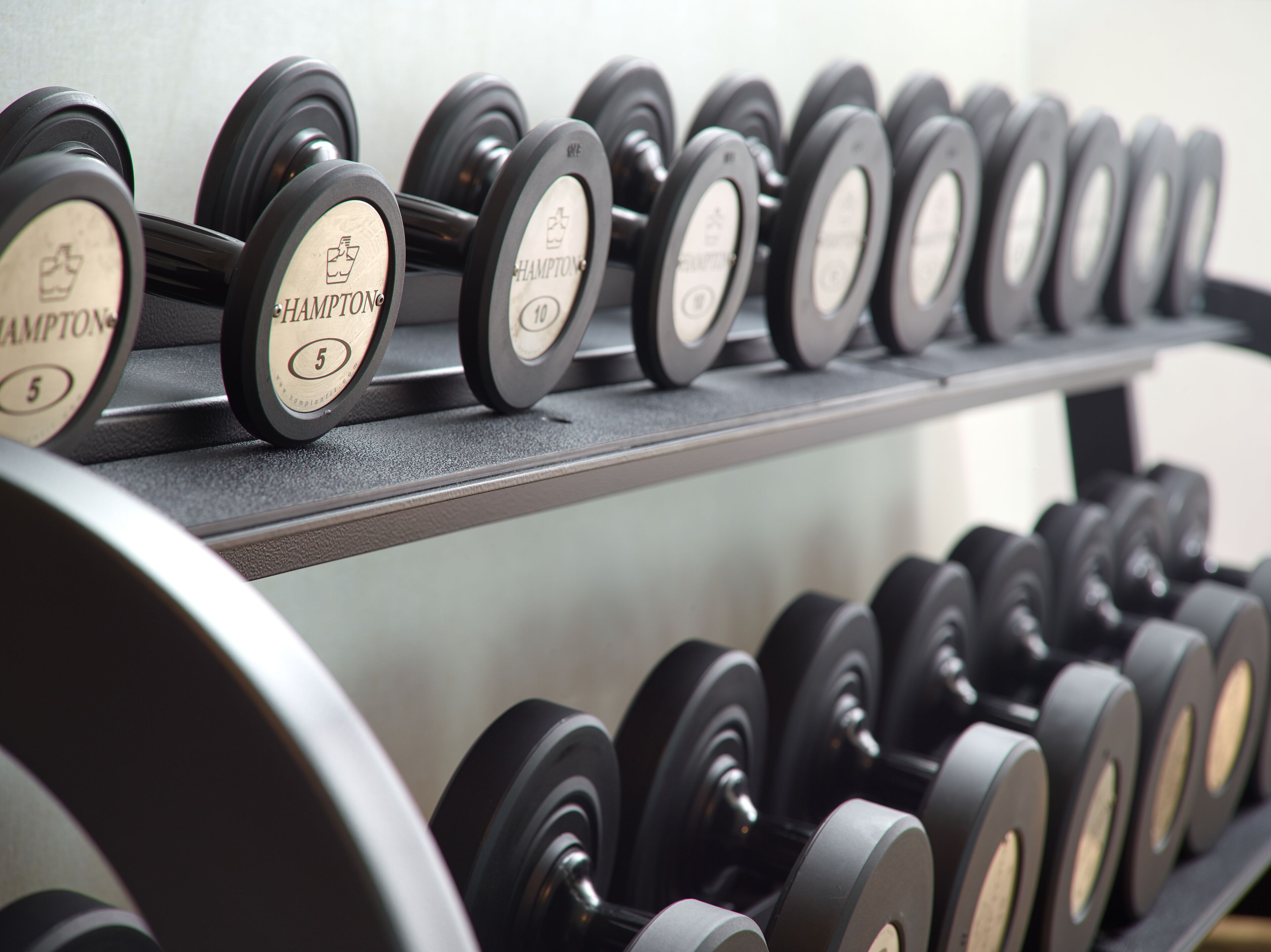 A rack of dumbbells with weight labels, including 'CHAMPION' and numbers 5, 10, 15, 20, 25, 30, 35, 40, 45, 50, 55, 60, 65, 70, 75, 80, 85, 90, 95, and 100.