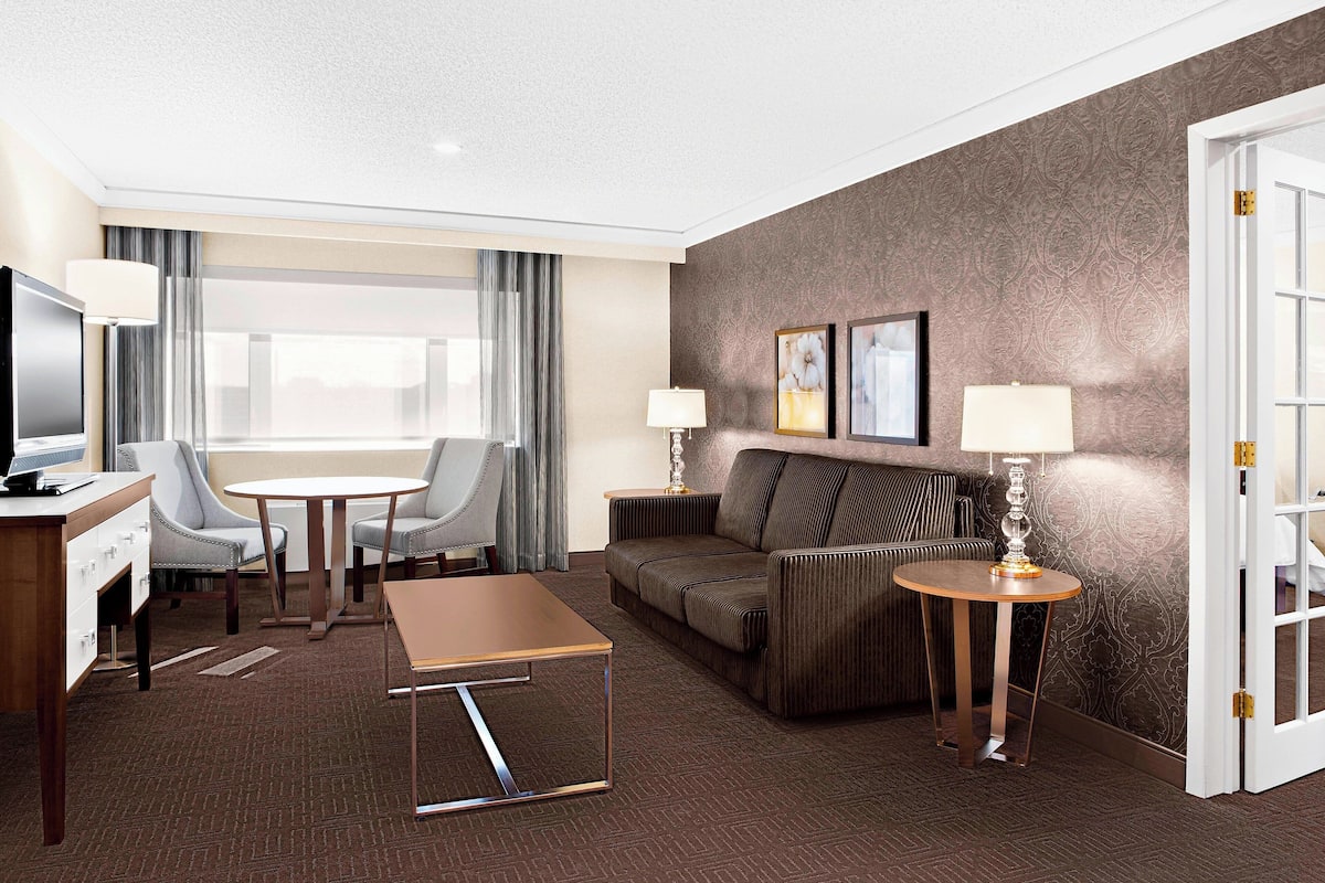 Executive-Suite, 1 Schlafzimmer