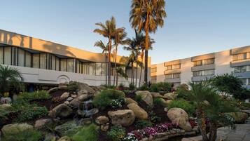 A hotel courtyard with a water feature, palm trees, and a stone pathway.
