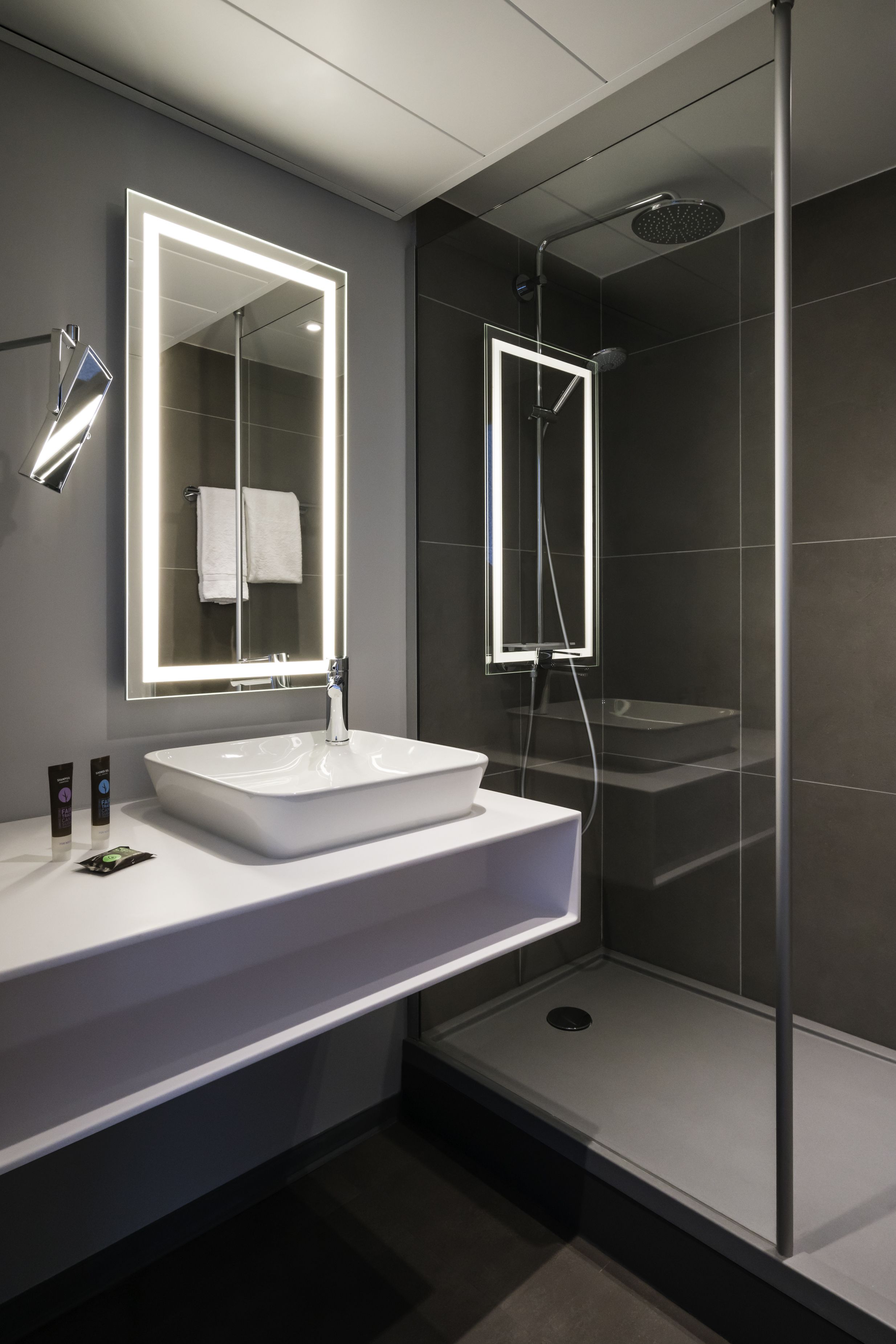 Eco-friendly toiletries, hair dryer, towels