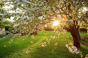 Courtyard view - Novotel Paris Saclay (Saclay)