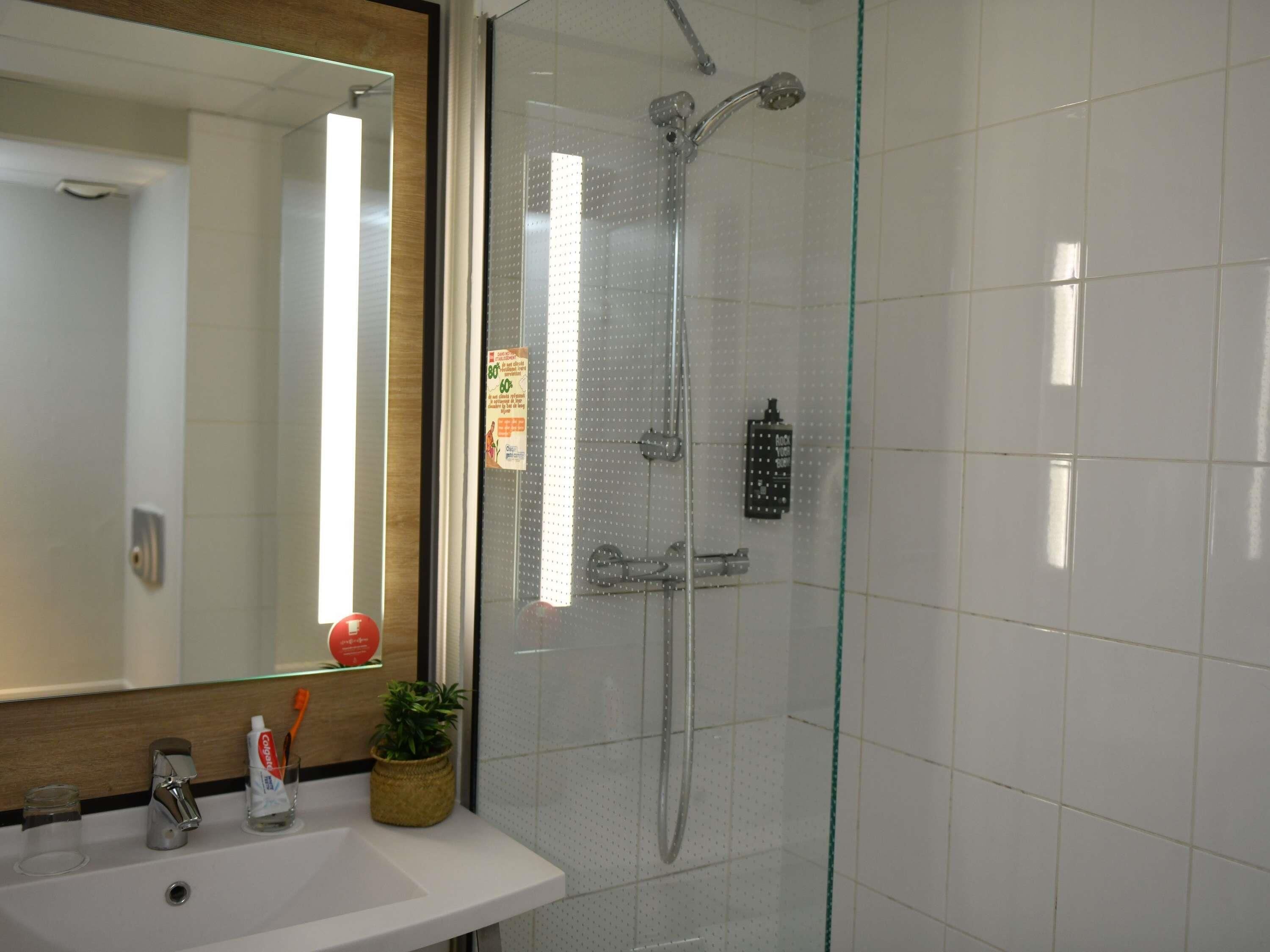 Une salle de bain avec un lavabo blanc, un miroir, une cabine de douche en verre et une petite plante en pot posée sur le lavabo.