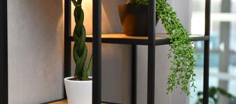 ibis Chateauroux
