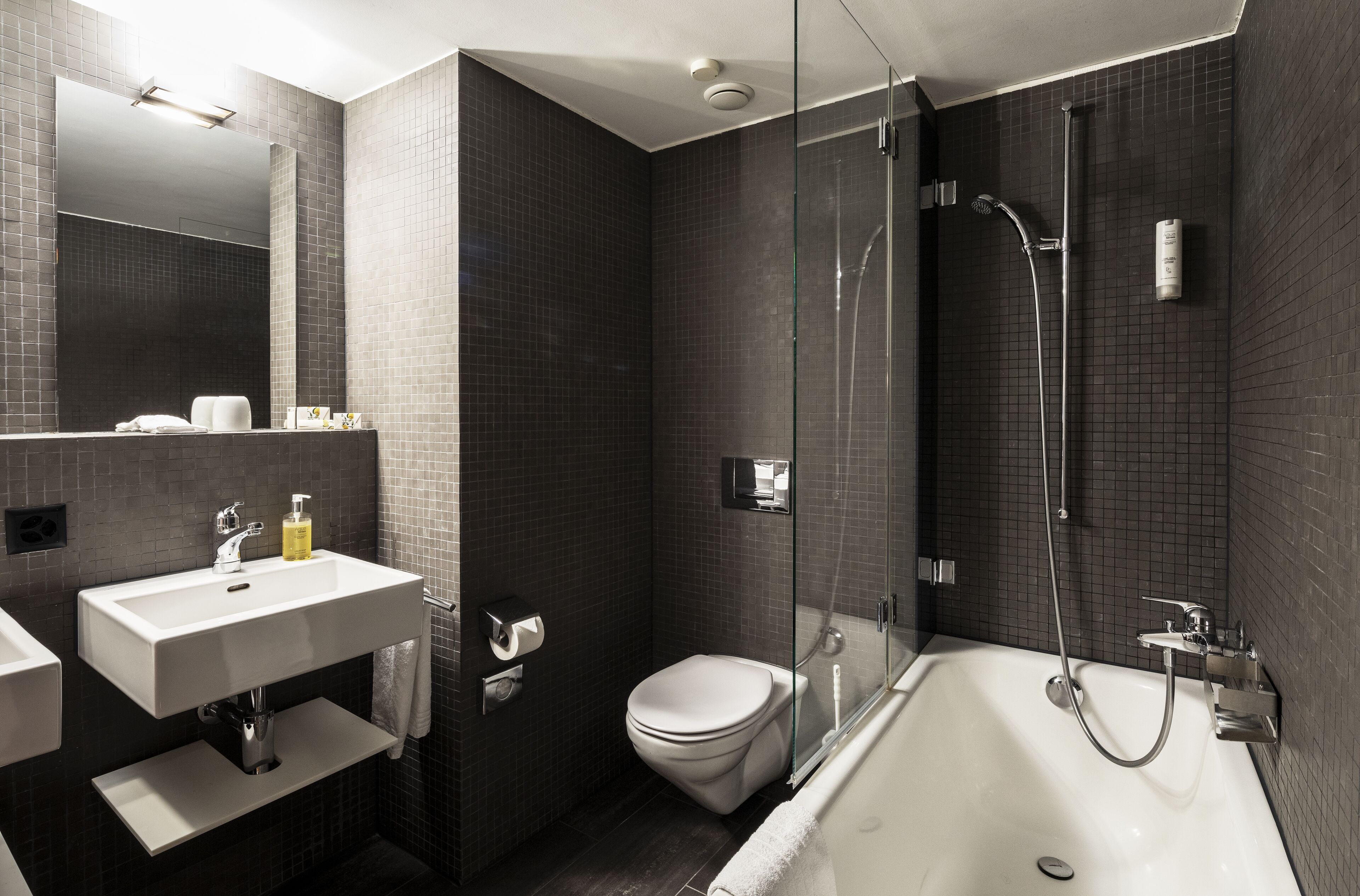 design plus | bathroom | eco-friendly toiletries, hair dryer, towels