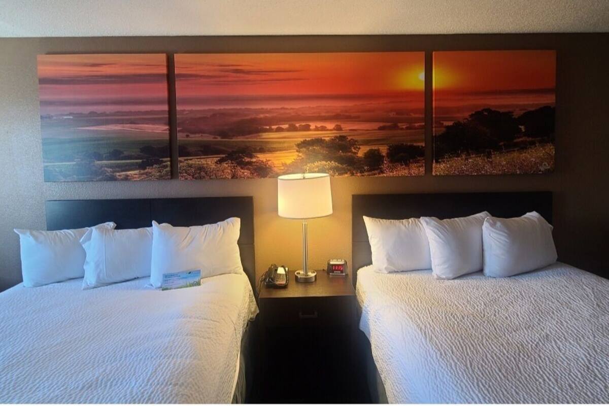 standard room, 2 queen beds | in-room safe, desk, free cots/infant beds, rollaway beds