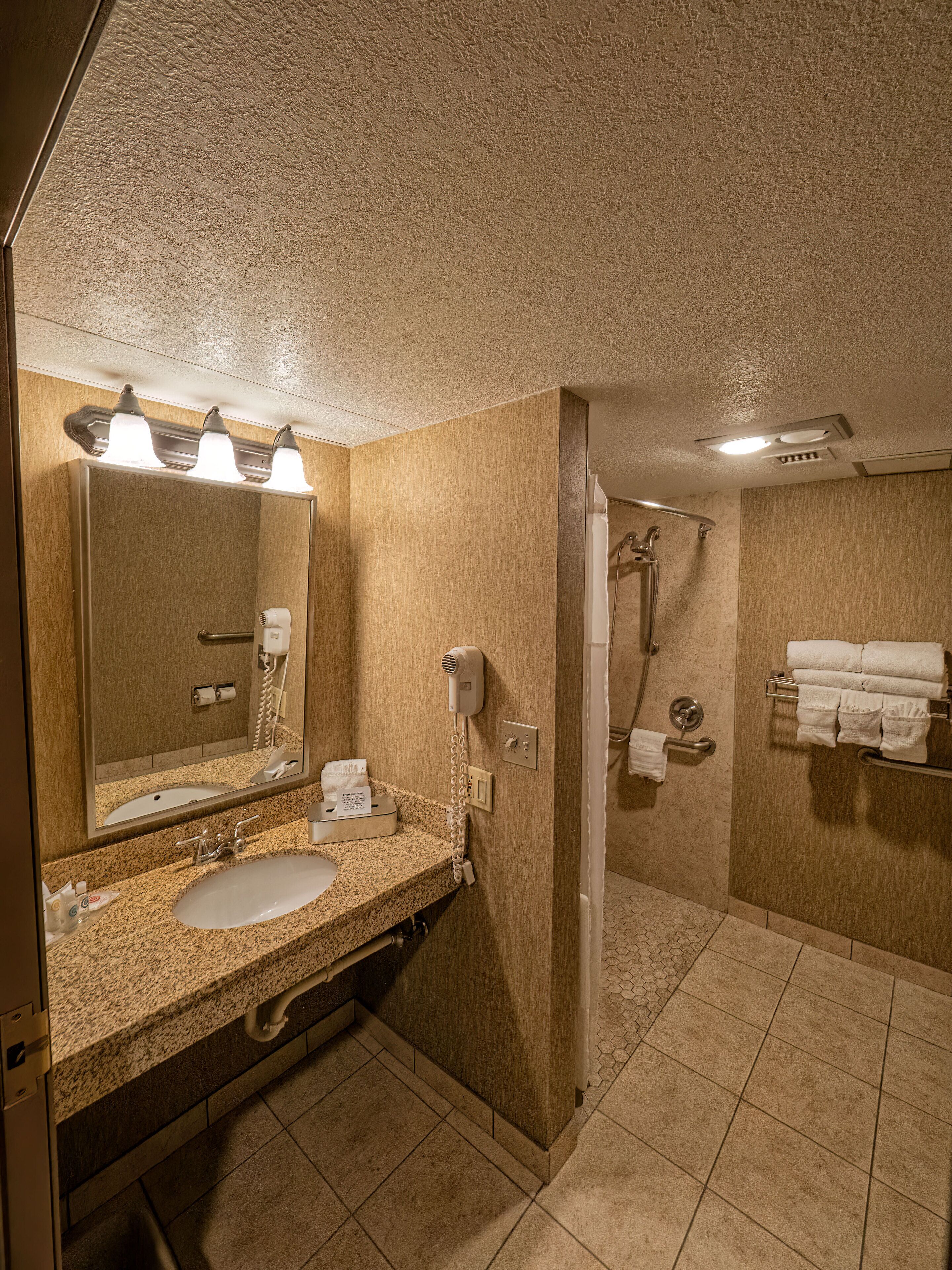 combined shower/bathtub, free toiletries, hair dryer, towels