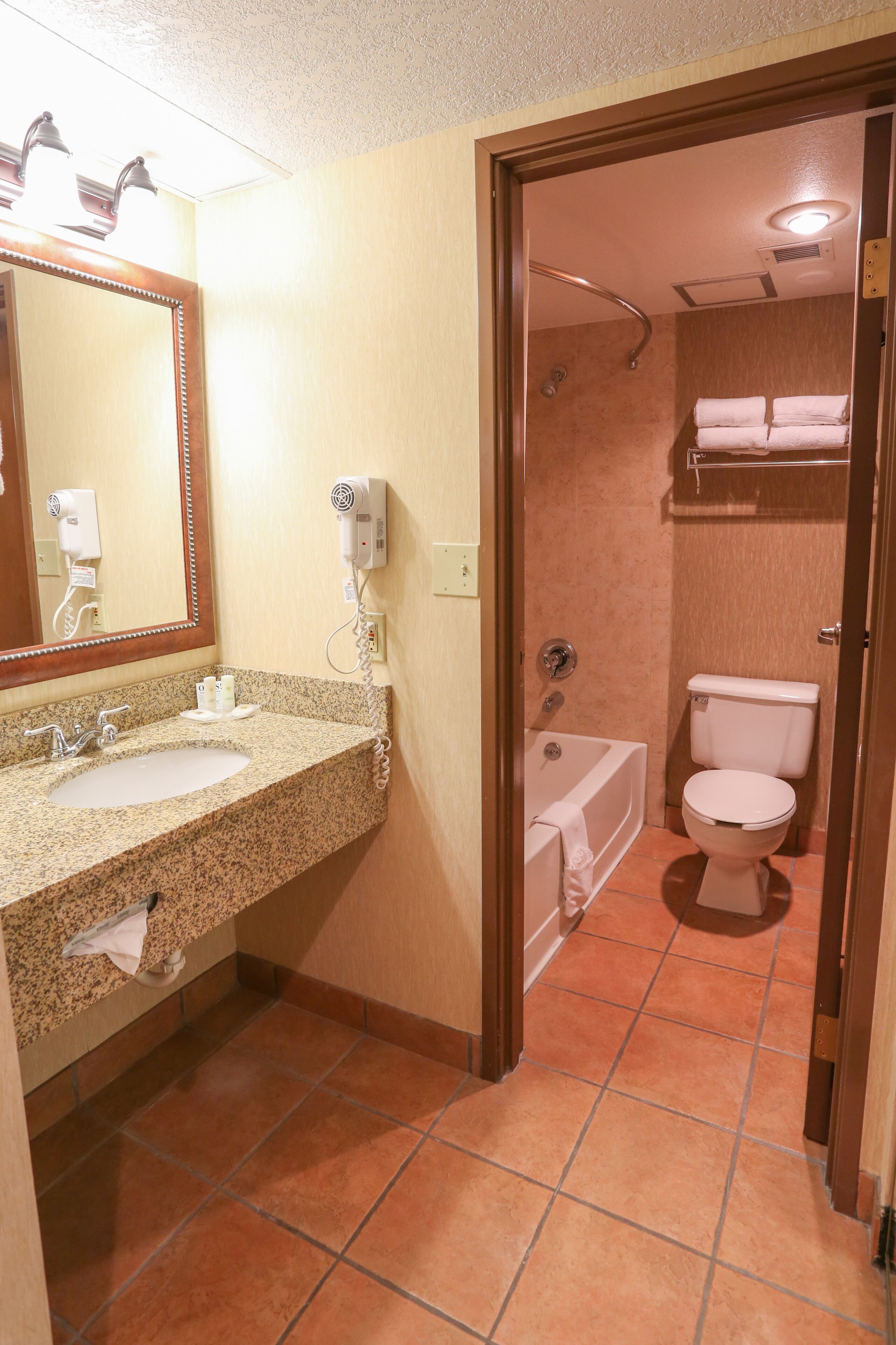 combined shower/bathtub, free toiletries, hair dryer, towels