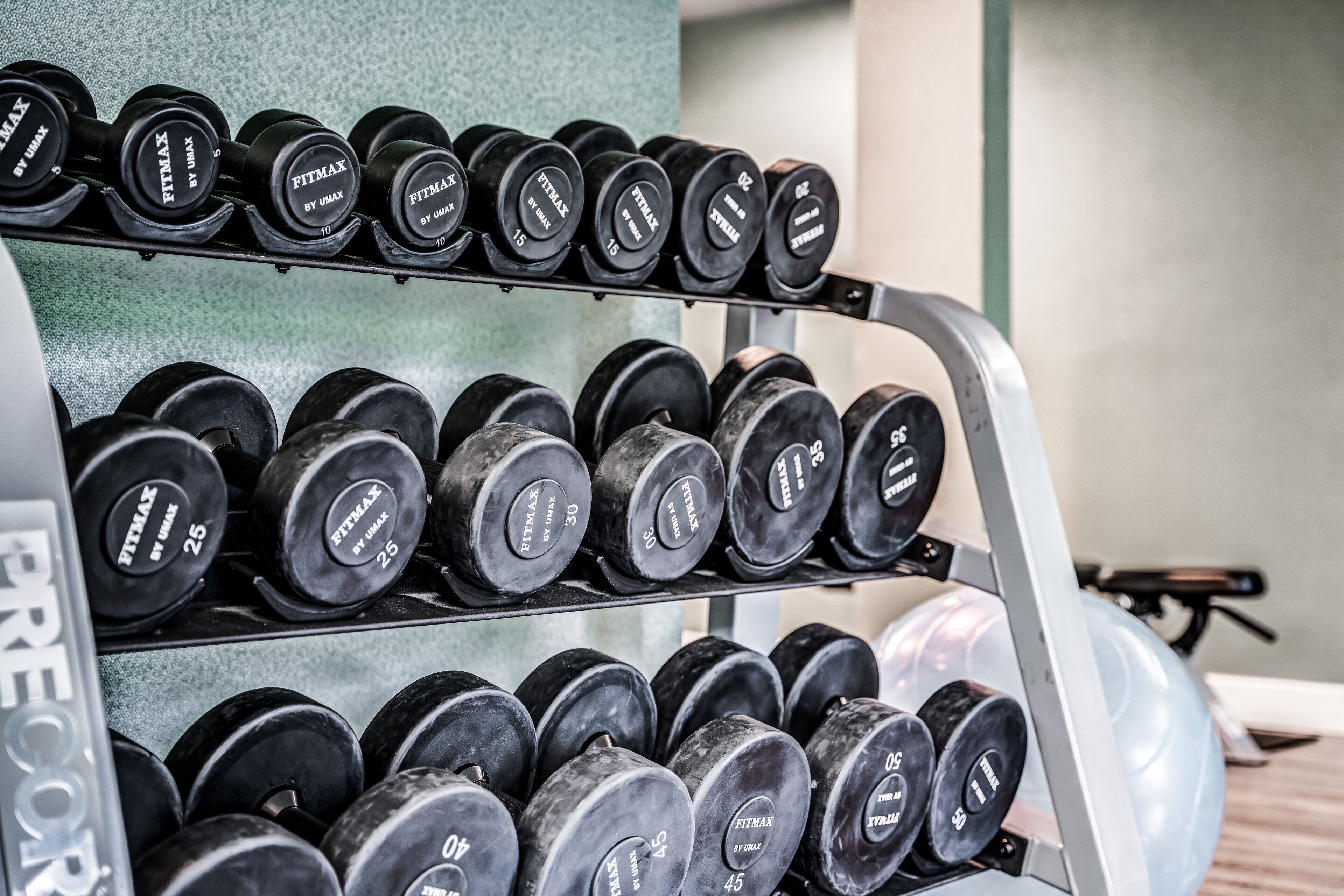 A rack of dumbbells with weights ranging from 5 to 50 lbs.