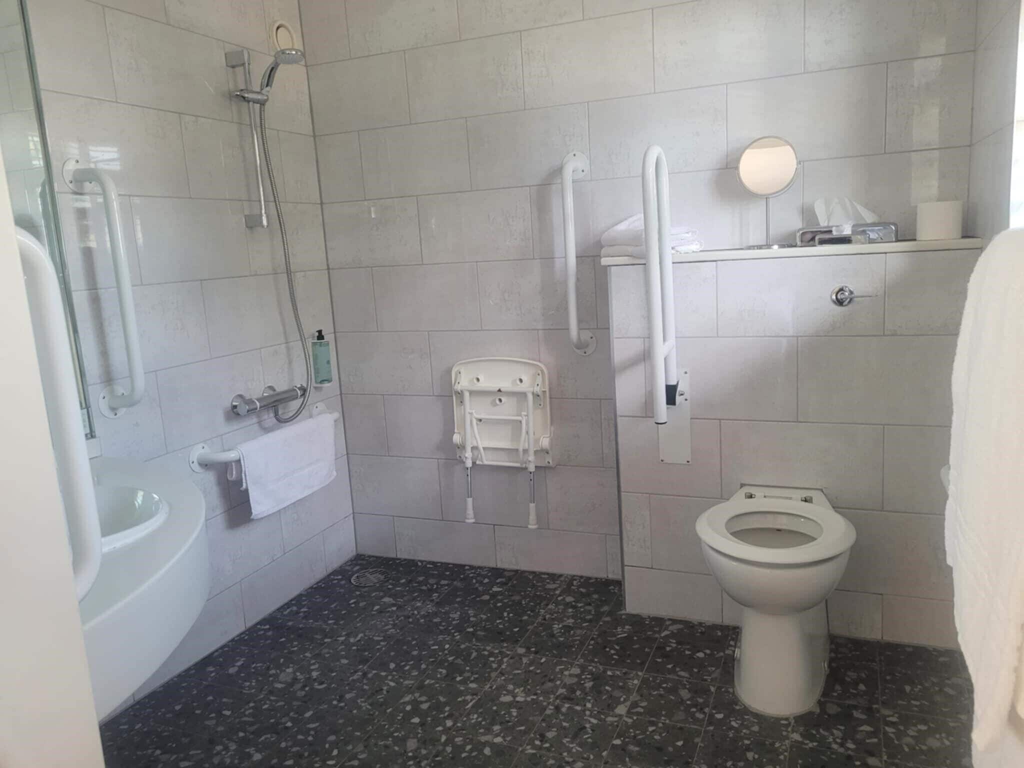 Ein Badezimmer mit Toilette, Dusche und Handläufe.