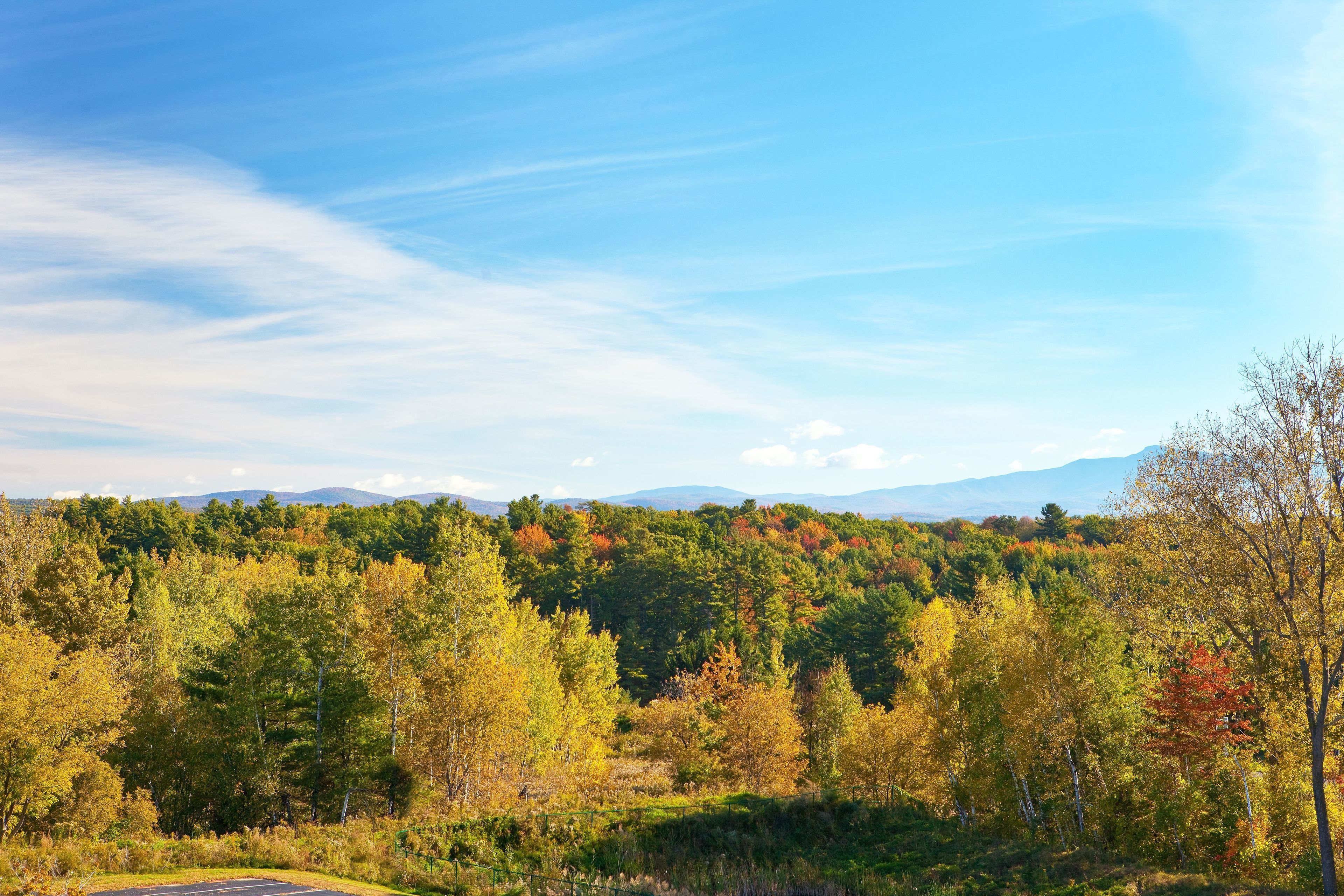 A scenic view of a forested area with a clear sky and distant mountains.