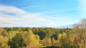 A scenic view of a forested area with a clear sky and distant mountains.