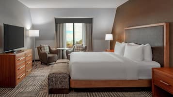 A hotel room with a large bed, a TV, a desk, a chair, and a view of the outdoors.