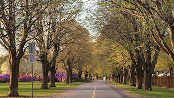 A tree-lined street with a clear road, a sign indicating a pedestrian zone, and a sidewalk on the left.