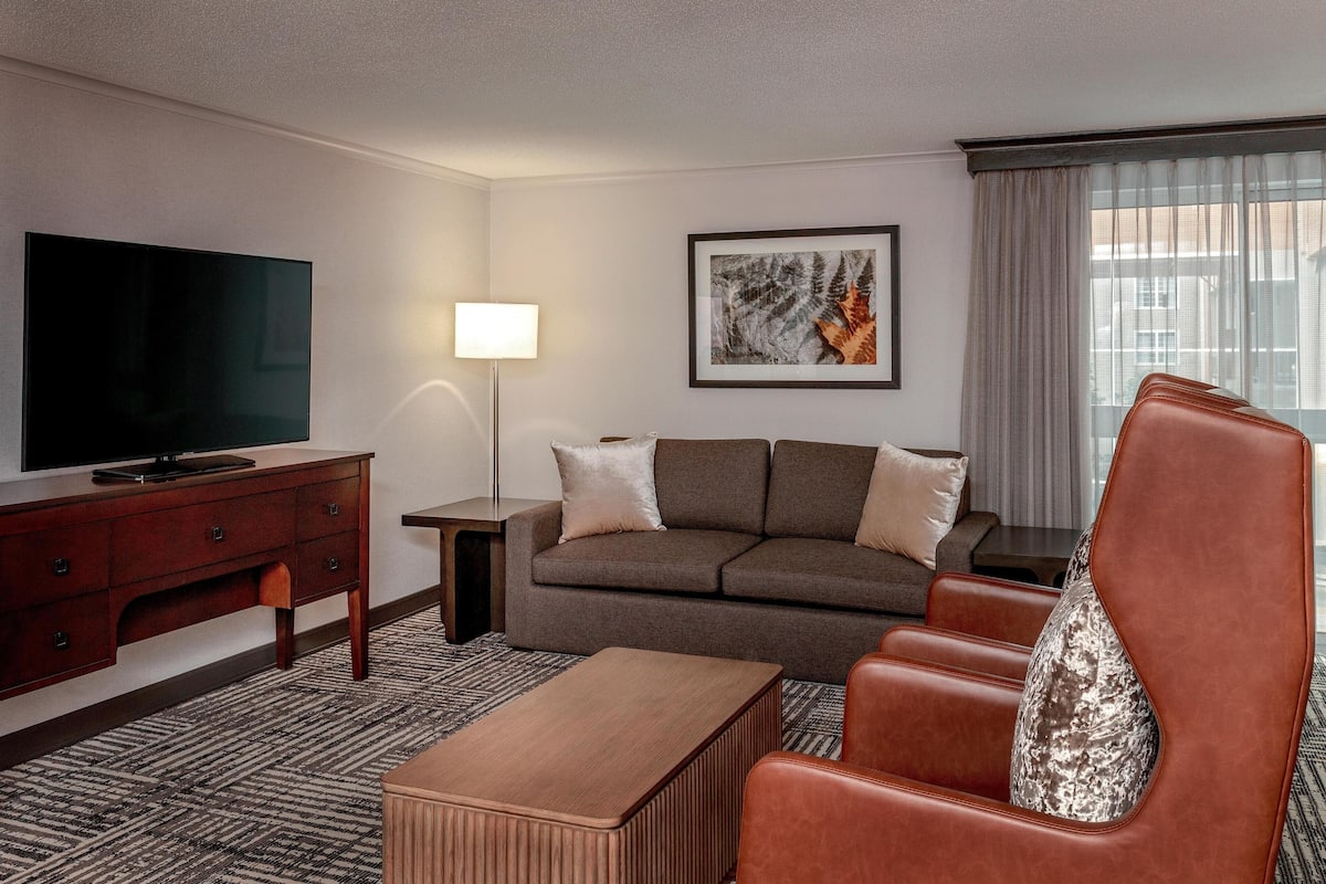 Junior Suite, 1 King Bed with Sofa bed | Living area | Flat-screen TV
