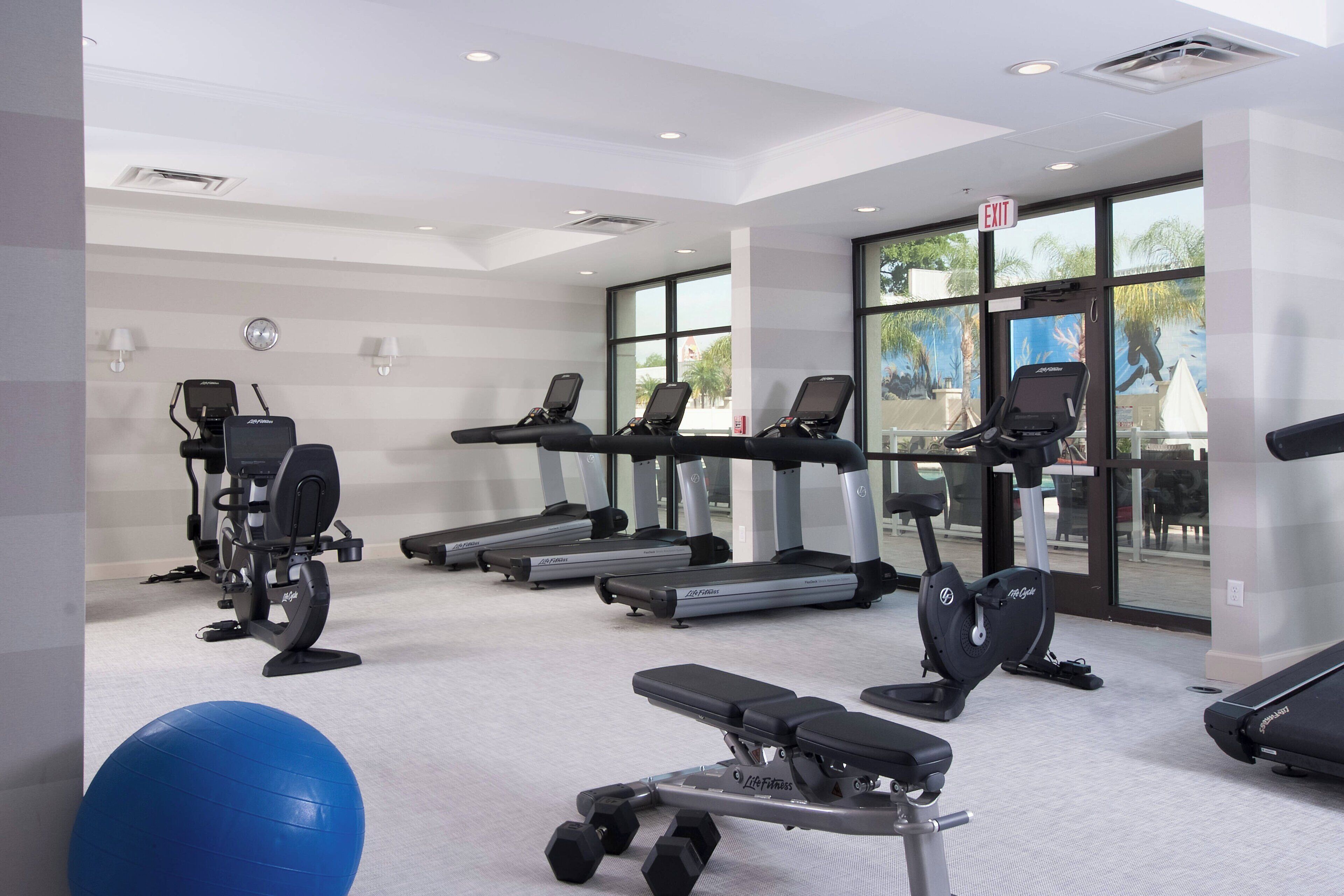 Une salle de sport équipée de tapis de course, de vélos elliptiques et d’un ballon d’exercice bleu.