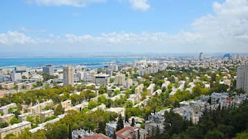 A cityscape with a mix of residential and commercial buildings, a coastline, and a clear sky.