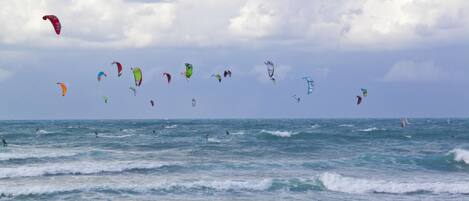 Una playa con varios cometas volando en el cielo y gente en el agua.